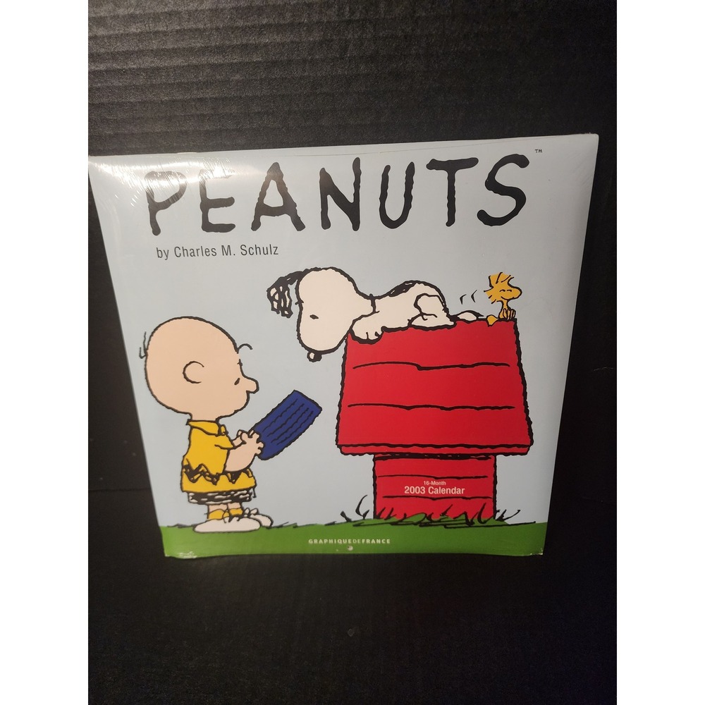 Vintage Peanuts 2003 Wall Calendar Snoopy Charlie Brown Graphique de France NEW